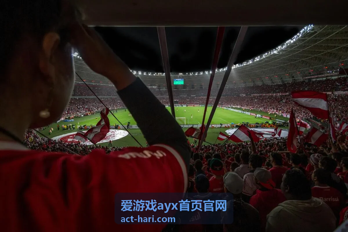 爱游戏ayx首页官网玩法指南栏目封面