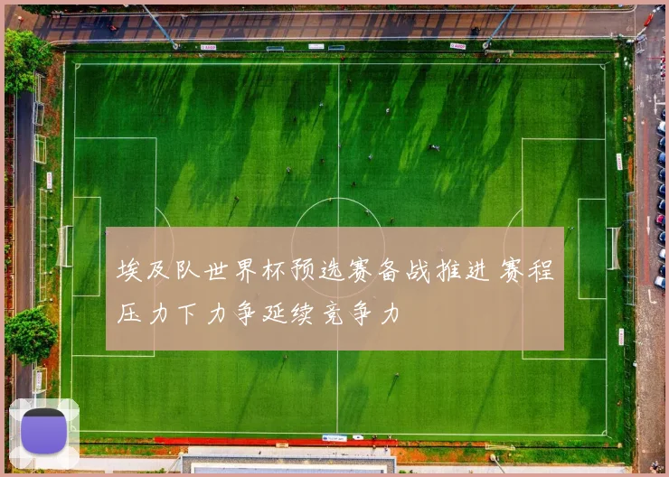 埃及队世界杯预选赛备战推进 赛程压力下力争延续竞争力