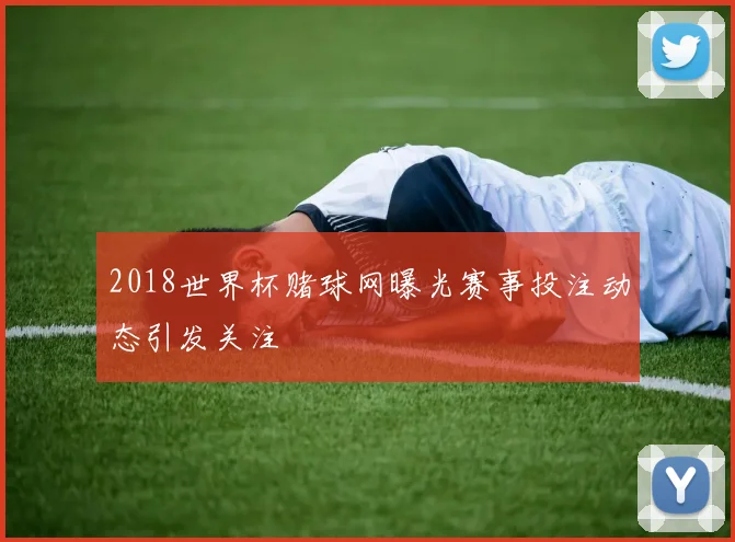2018世界杯赌球网曝光赛事投注动态引发关注