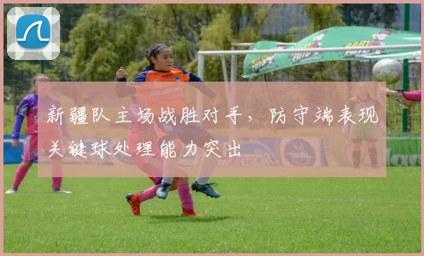 新疆队主场战胜对手,防守端表现关键球处理能力突出