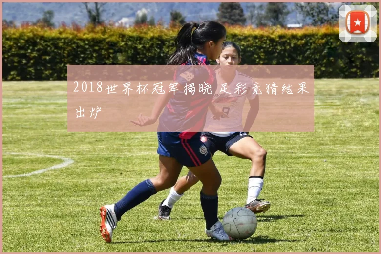 2018世界杯冠军揭晓 足彩竞猜结果出炉