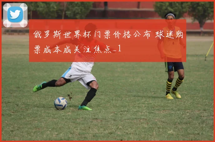 俄罗斯世界杯门票价格公布 球迷购票成本成关注焦点_1